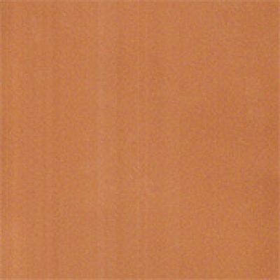 CPP 107