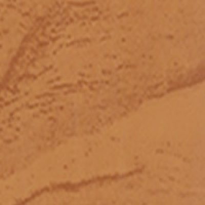 CPP 504