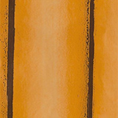 CPP 523